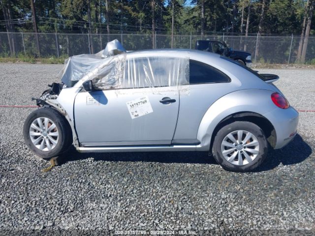 3VWF17ATXGM601431 Volkswagen Beetle 1.8t S