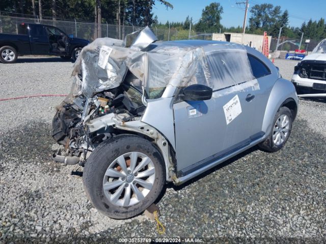 3VWF17ATXGM601431 Volkswagen Beetle 1.8t S