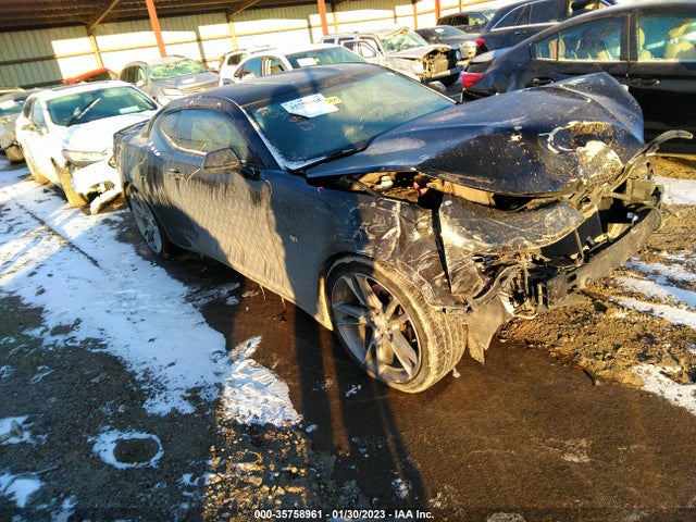 2019 1G1FB1RSXK0112217 main image