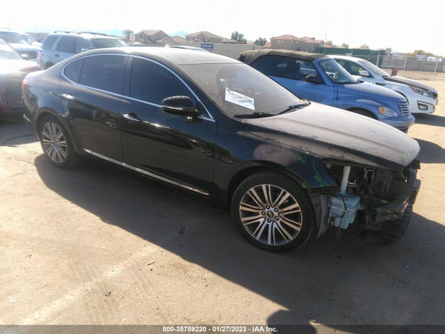 2014 Kia Cadenza, VIN: KNALN4D78E5160440