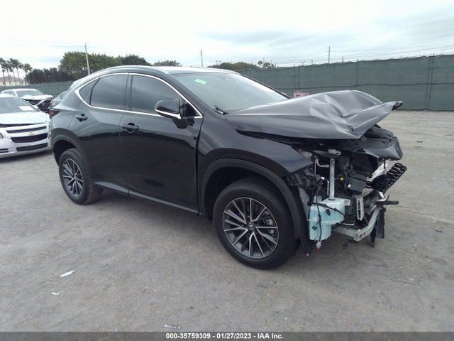 2023 Lexus NX, VIN: 2T2ADCAZ7PC003173