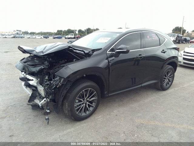 2023 Lexus NX, VIN: 2T2ADCAZ7PC003173