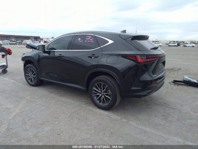 2023 Lexus NX, VIN: 2T2ADCAZ7PC003173