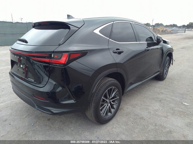 2023 Lexus NX, VIN: 2T2ADCAZ7PC003173