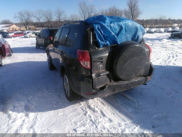 2006 TOYOTA RAV4 SPORT VIN: JTMBK32V466007097