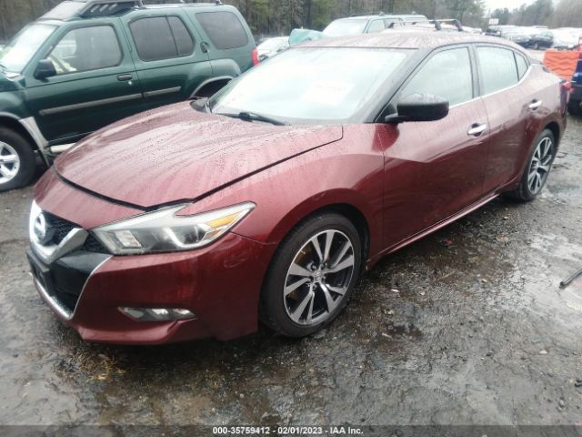 1N4AA6AP4GC403459 Nissan Maxima 3.5 S