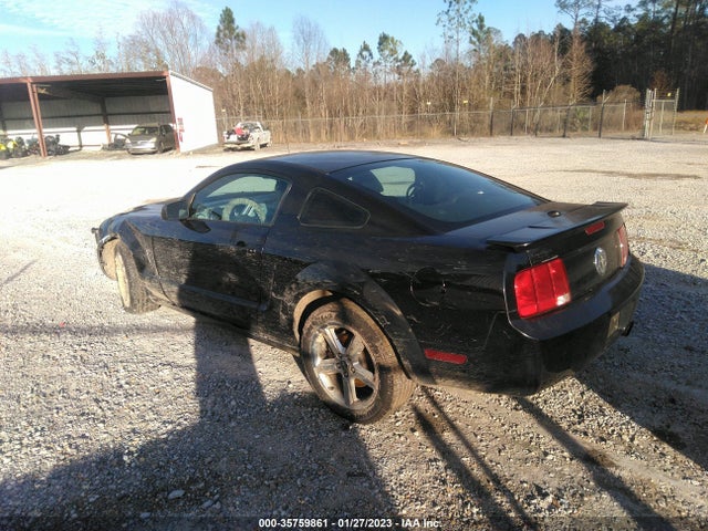 2008 FORD MUSTANG DELUXE/PREMIUM VIN: 1ZVHT80N285133035