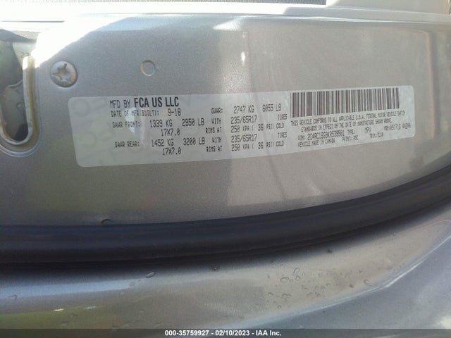 2019 Chrysler Pacifica, VIN: 2C4RC1BG9KR539501