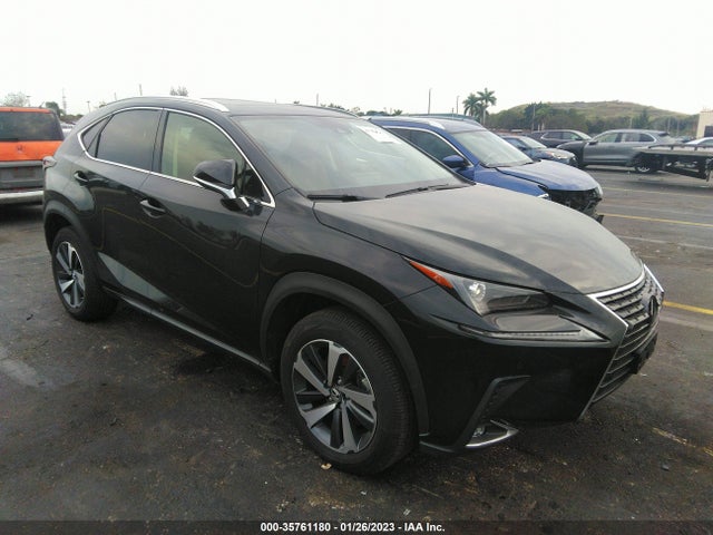 2020 Lexus NX, VIN: JTJGARDZ3L2232901
