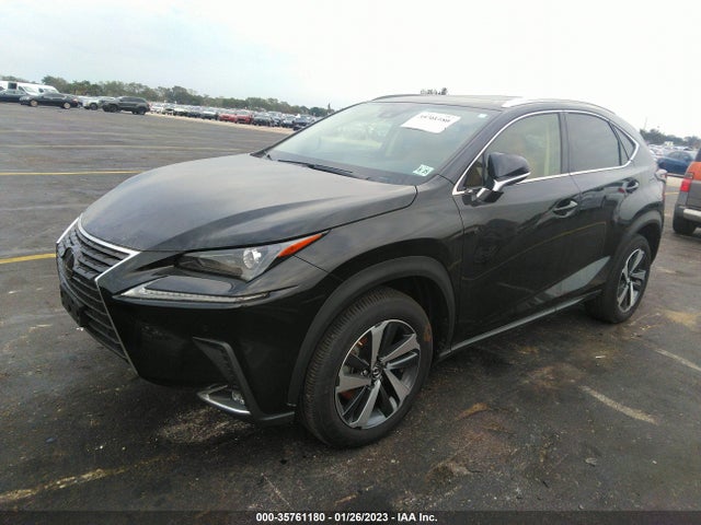 2020 Lexus NX, VIN: JTJGARDZ3L2232901
