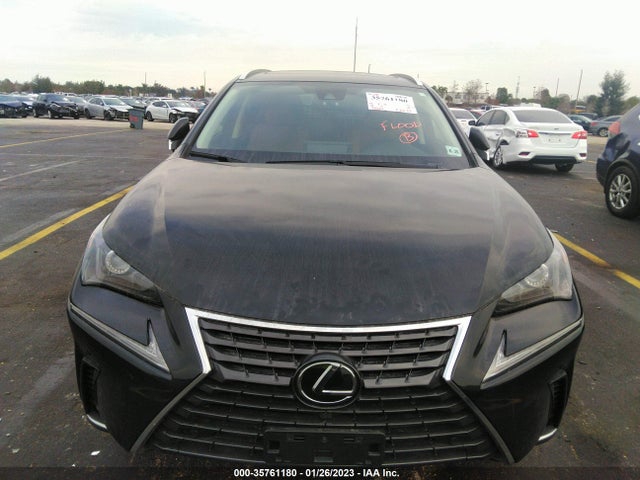 2020 Lexus NX, VIN: JTJGARDZ3L2232901