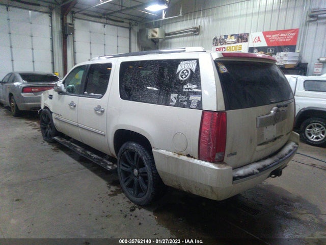 Cadillac Escalade Esv Premium 2010 1GYUKJEF0AR169506 Image 4