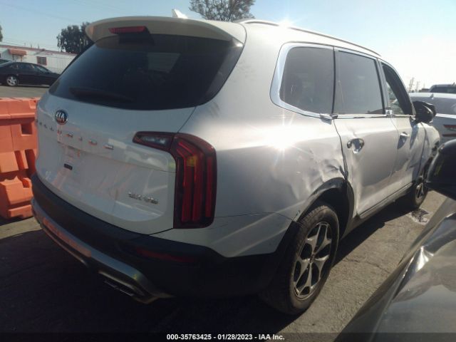 5XYP34HC4LG050006 KIA Telluride Ex