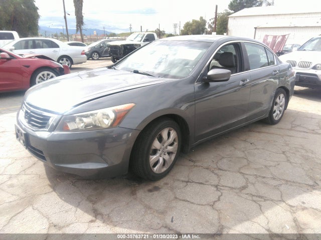 2010 HONDA ACCORD SDN EX-L VIN: 1HGCP2F80AA130665