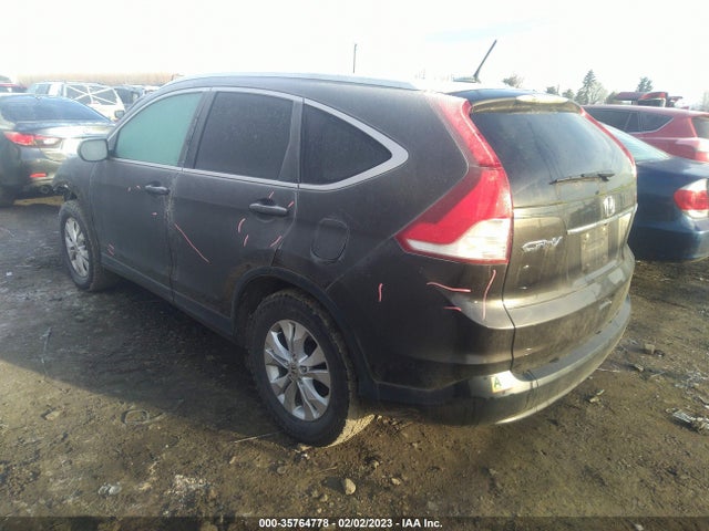 Honda Cr-v Ex-l 2014 5J6RM4H71EL023095 Image 3