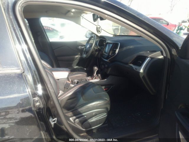 1C4PJMBS2GW176301 Jeep Cherokee Trailhawk
