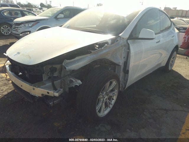Tesla Model Y 2021 5YJYGDEE4MF117887 Image 2