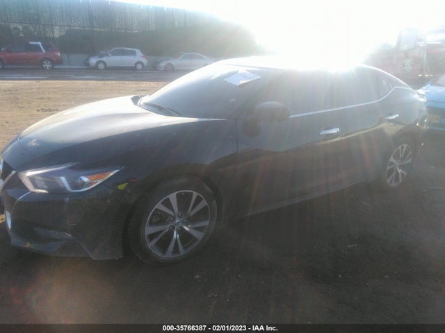 Nissan Maxima 2016 1N4AA6AP3GC417725 Image 2