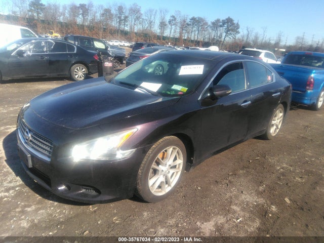 2010 NISSAN MAXIMA 3.5 SV W/PREMIUM PKG VIN: 1N4AA5AP1AC853135