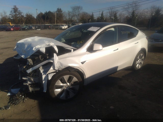 2022 Tesla Model Y, VIN: 7SAYGDEEXNA012563