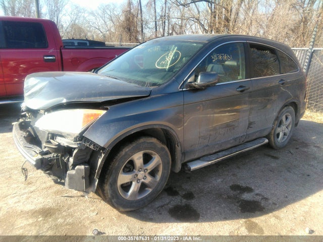 2010 HONDA CR-V EX-L VIN: JHLRE4H71AC004837