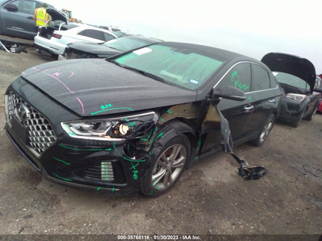 Hyundai SONATA SEL 2019 5NPE34AFXKH794616 Image 2