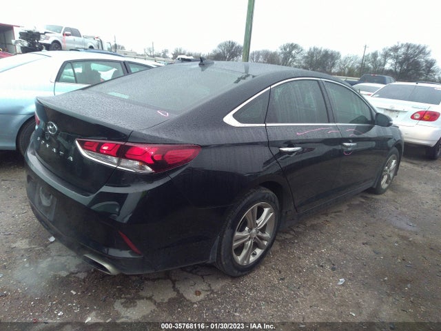 Hyundai SONATA SEL 2019 5NPE34AFXKH794616 Image 5