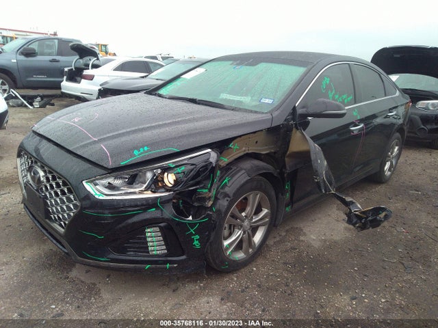 Hyundai SONATA SEL 2019 5NPE34AFXKH794616 Image 7