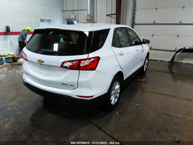 Chevrolet EQUINOX LS 2019 2GNAXSEV6K6125098 Image 5