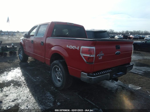 2010 FORD F-150 XL/XLT VIN: 1FTEW1E83AFB33617