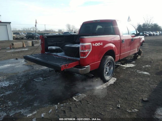 2010 FORD F-150 XL/XLT VIN: 1FTEW1E83AFB33617