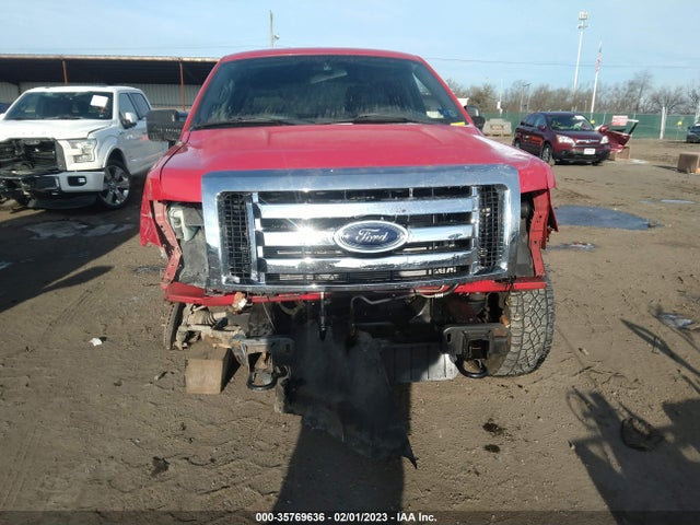 2010 FORD F-150 XL/XLT VIN: 1FTEW1E83AFB33617