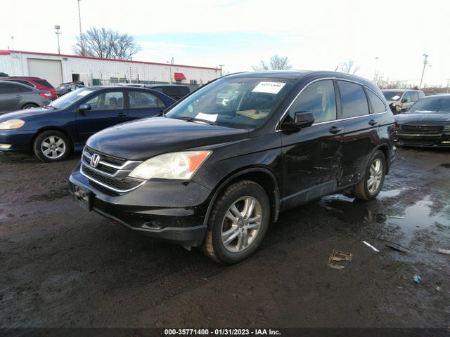 2010 HONDA CR-V EX-L VIN: 5J6RE4H79AL075811