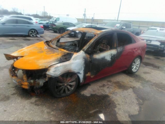 KNAFW4A31A5308109 KIA FORTE SX