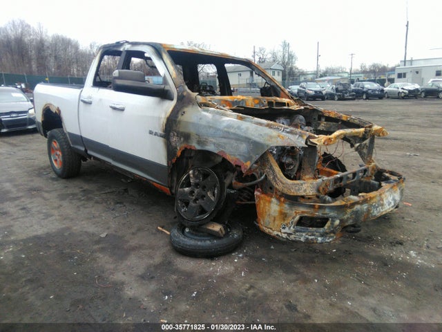 2010 1D7RV1GT9AS172294 main image