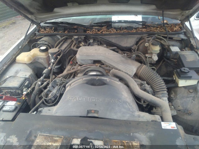 1995 FORD CROWN VICTORIA VIN: 2FALP73W3SX115753