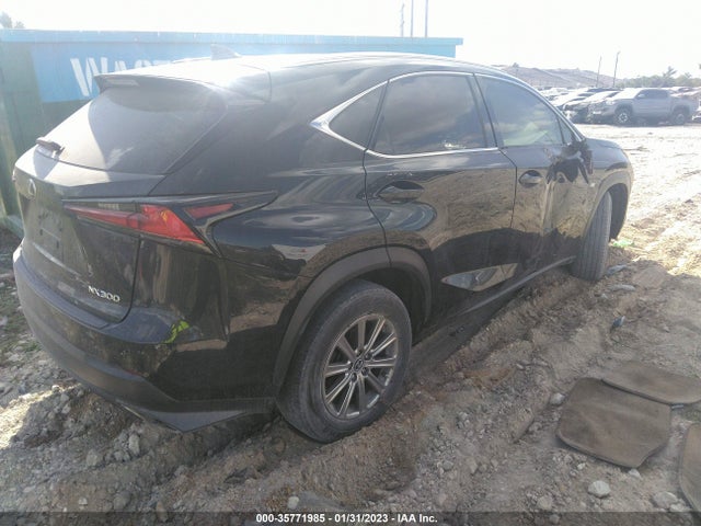 2018 Lexus NX, VIN: JTJYARBZ5J2088434