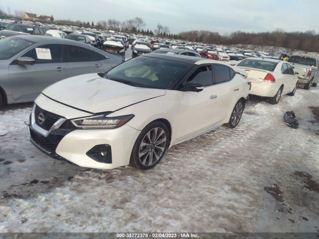2023 Nissan Maxima, VIN: 1N4AA6FV5PC501150