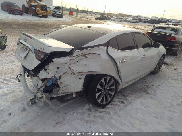 2023 Nissan Maxima, VIN: 1N4AA6FV5PC501150