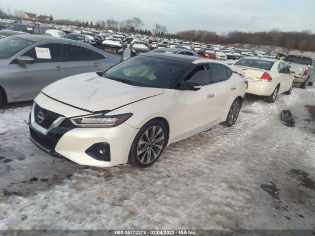 1N4AA6FV5PC501150 Nissan Maxima Platinum