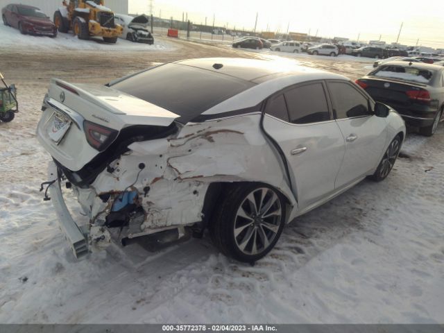 1N4AA6FV5PC501150 Nissan Maxima Platinum