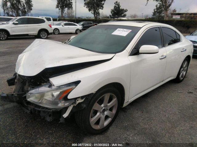 1N4AA5AP2EC434412 Nissan Maxima 3.5 S