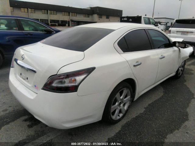 1N4AA5AP2EC434412 Nissan Maxima 3.5 S