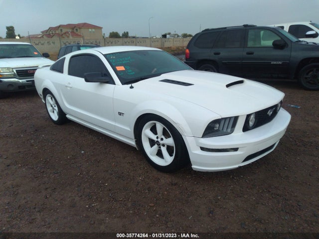 2006 FORD MUSTANG GT PREMIUM VIN: 1ZVHT82H565208055