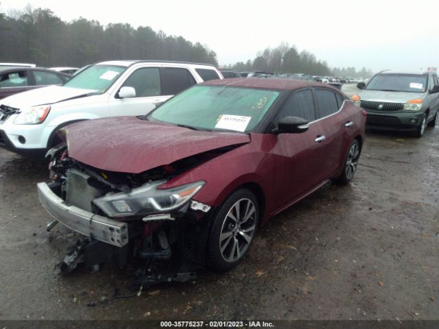 1N4AA6AP4HC373820 Nissan MAXIMA SV