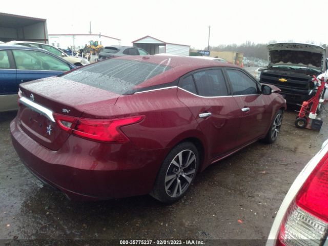 1N4AA6AP4HC373820 Nissan MAXIMA SV