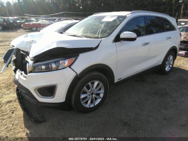 5XYPGDA32GG156264 KIA SORENTO LX