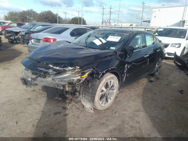 Nissan Maxima 3.5 Platinum 2016 1N4AA6AP0GC381069 Image 2