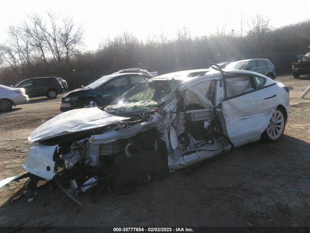 Tesla Model 3 Long Range 2021 5YJ3E1EB8MF037691 Image 2