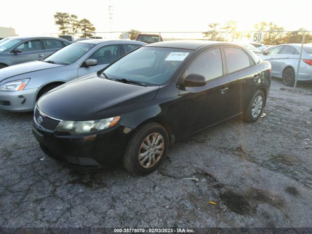 KNAFU4A21C5576402 KIA FORTE EX